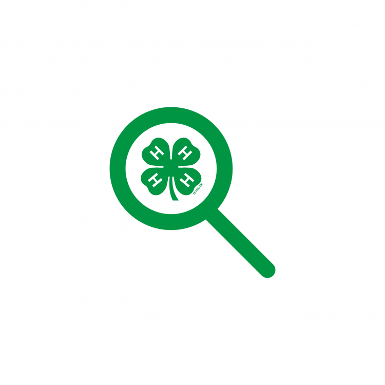 4-h type